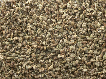 Ajwain Seeds Exporter India