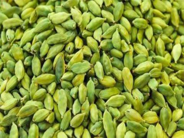 Cassia Tora Meal Manufacturer India