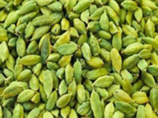 Cardamom -  Manufacturer