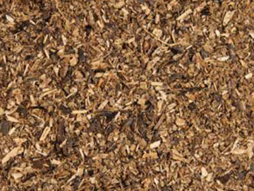 Castor Seed Extraction Meal Manufacturer India