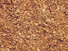 Cottonseed Meal Manufacturer