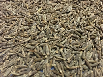 Cumin Seed (Jeera) Exporter India