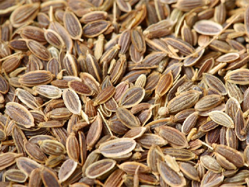 Dill Seed (Sowa) Exporter India