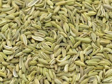 Fennel Seed Exporter India