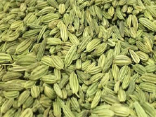 Fennel Seed - Saunf Manufacturer