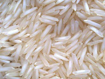 Cassia Tora Meal Manufacturer India