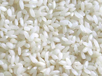 Cassia Tora Meal Manufacturer India