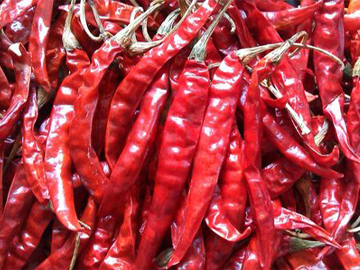 Chilli (Lal Mirch) Exporter India