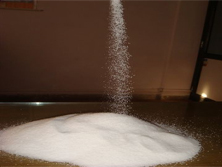 Guar Seed Manufacturer
