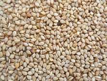 Psyllium Husk - Methi Manufacturer